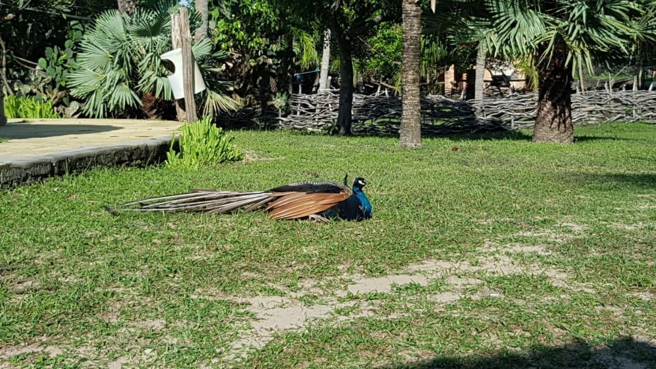 Rancho Do Buna Barreirinhas Exteriér fotografie